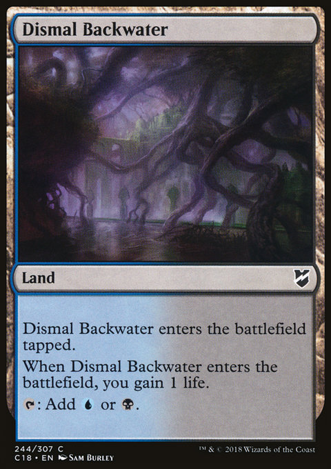 Dismal Backwater