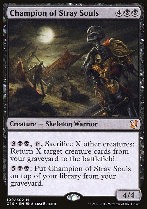 Champion of Stray Souls