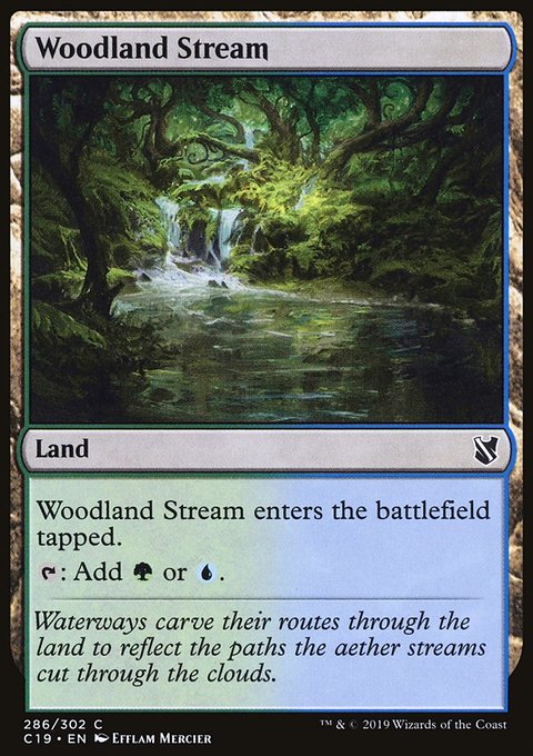 Woodland Stream