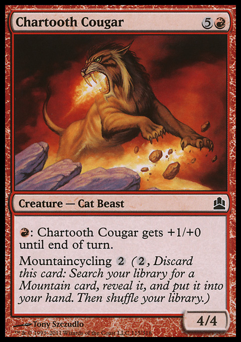 Chartooth Cougar