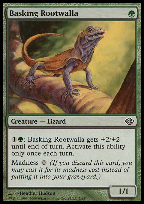 Basking Rootwalla