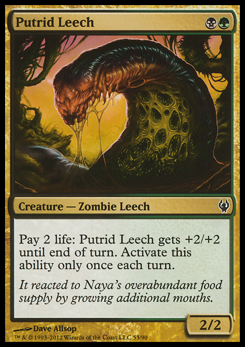 Putrid Leech