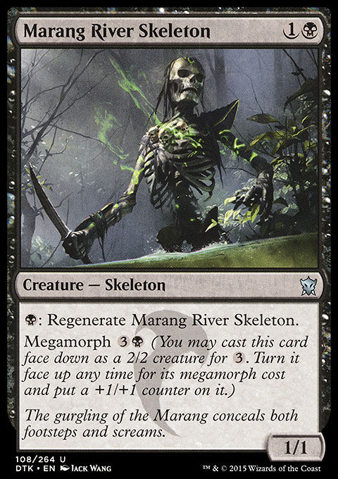 Marang River Skeleton
