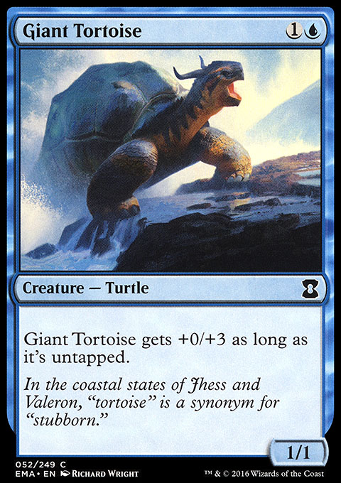 Giant Tortoise