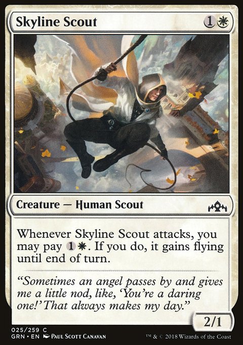 Skyline Scout
