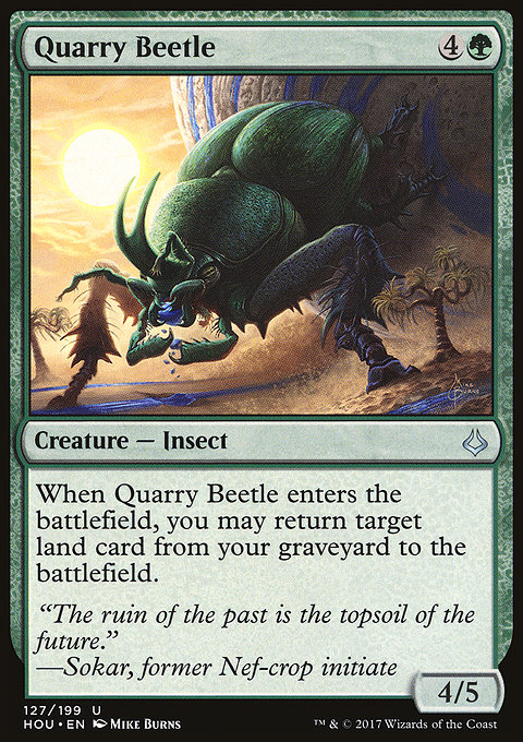 Quarry Beetle