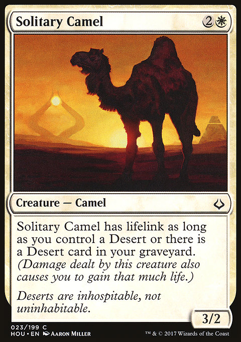 Solitary Camel