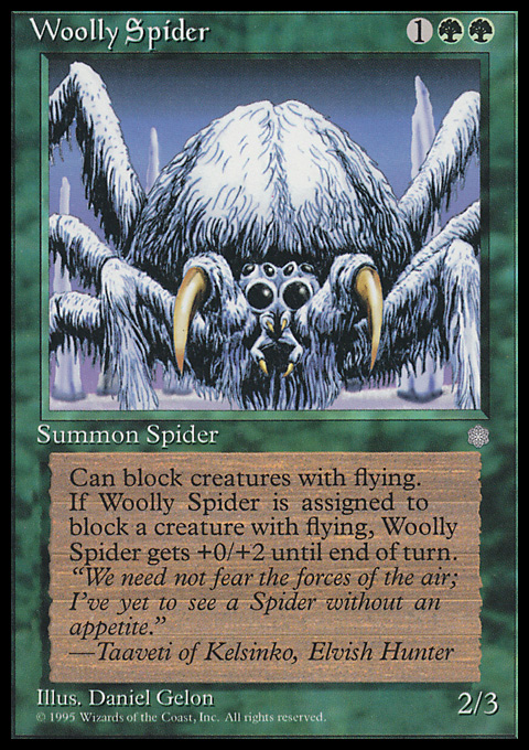 Woolly Spider