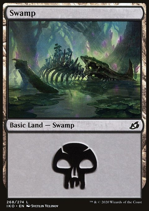 Swamp