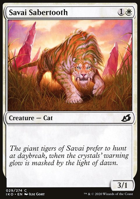 Savai Sabertooth