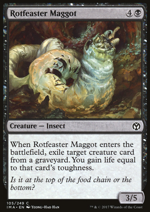 Rotfeaster Maggot