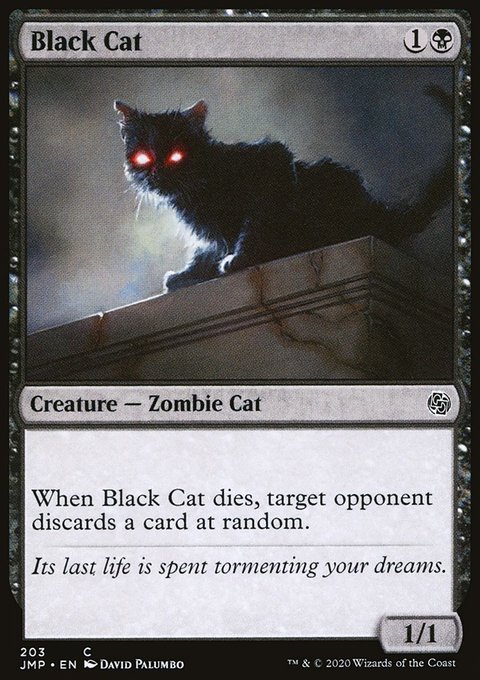 Black Cat