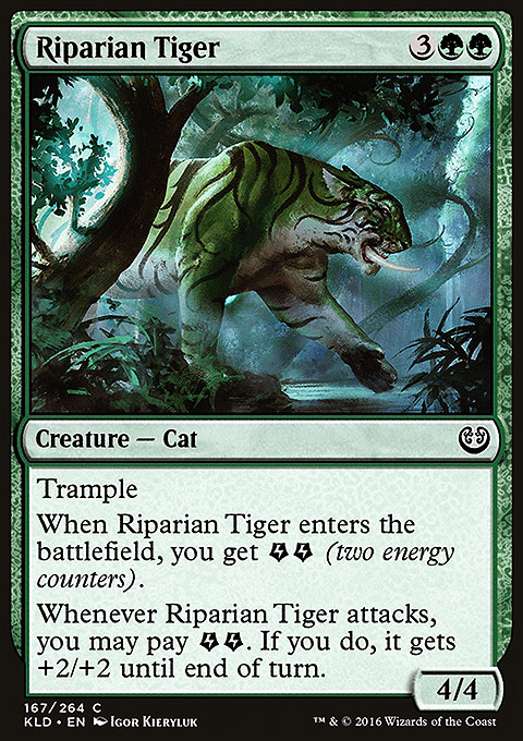 Riparian Tiger