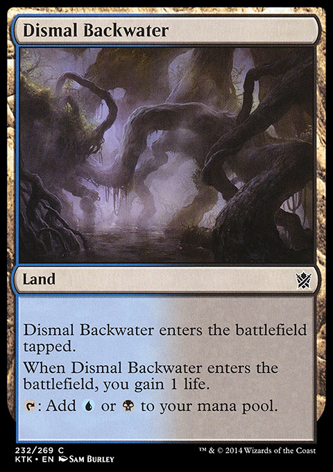 Dismal Backwater