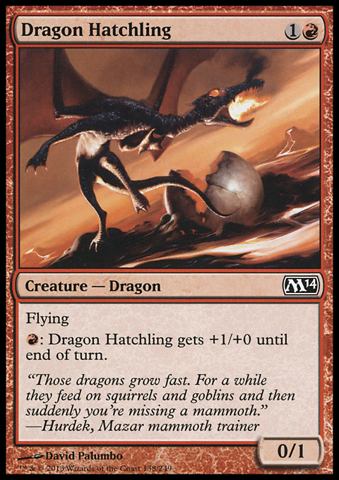 Dragon Hatchling