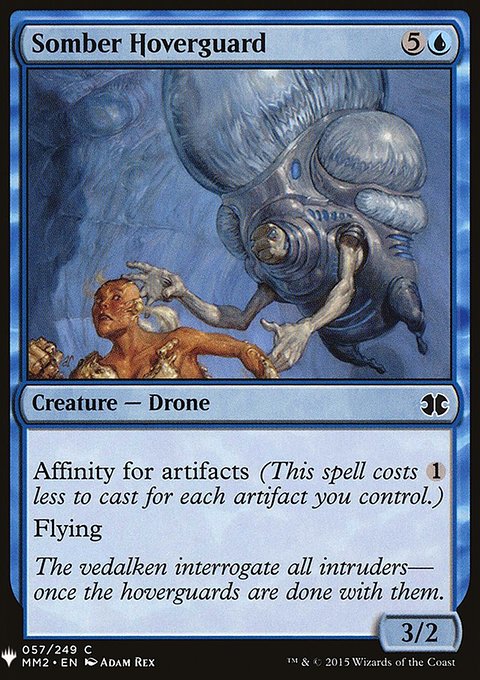 Somber Hoverguard