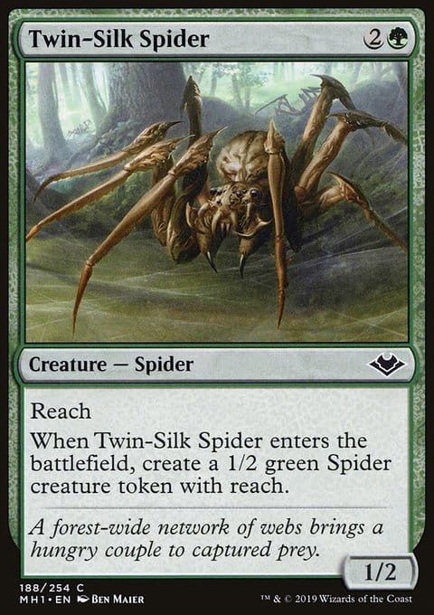 Twin-Silk Spider