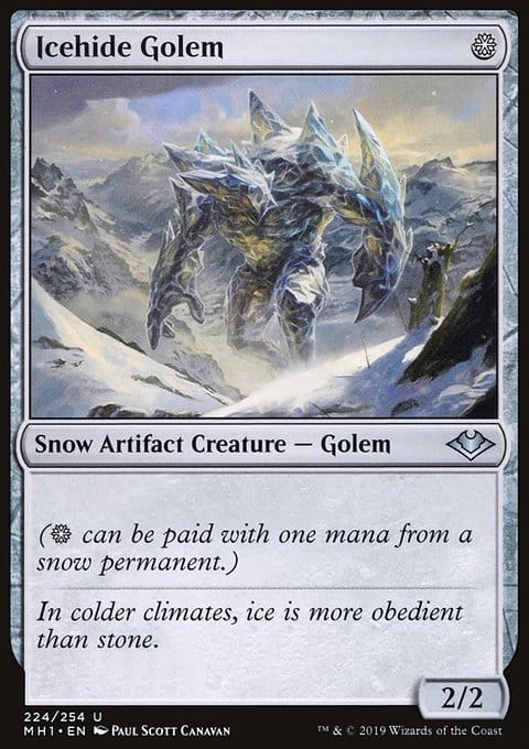 Icehide Golem