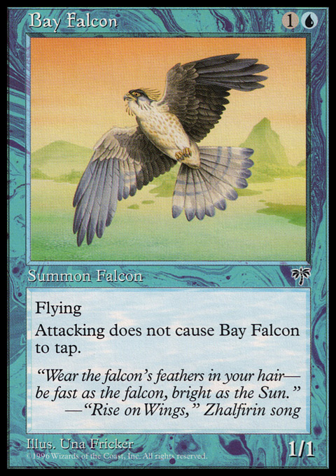 Bay Falcon