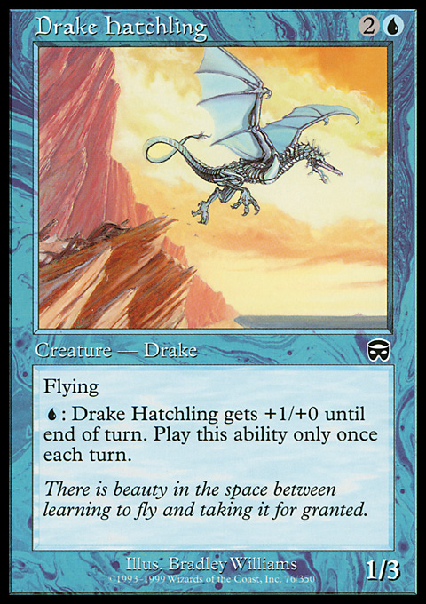 Drake Hatchling