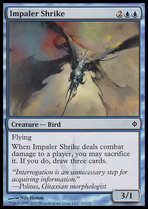 Impaler Shrike