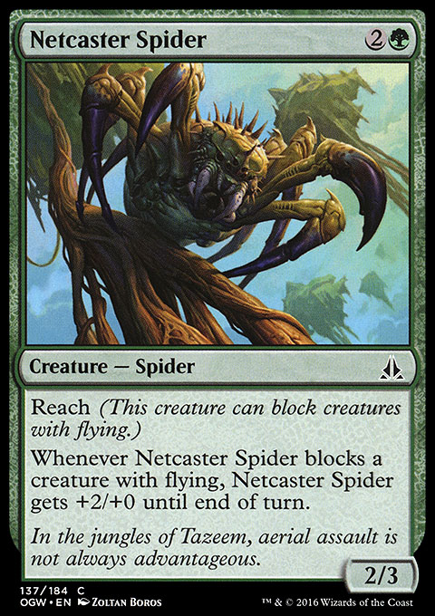 Netcaster Spider