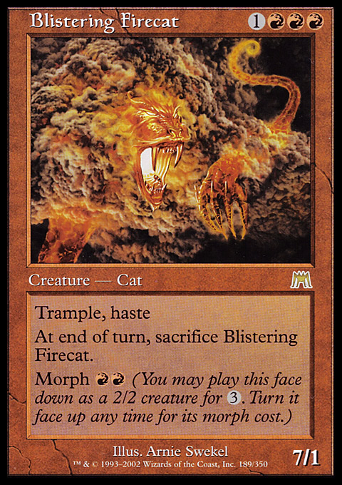 Blistering Firecat