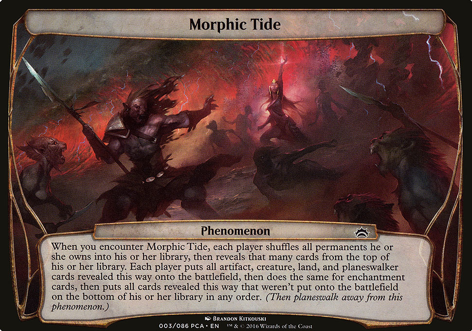 Morphic Tide