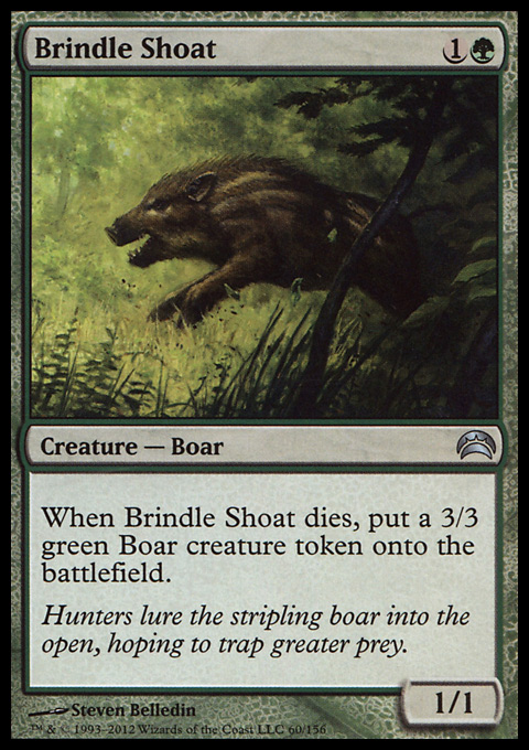 Brindle Shoat