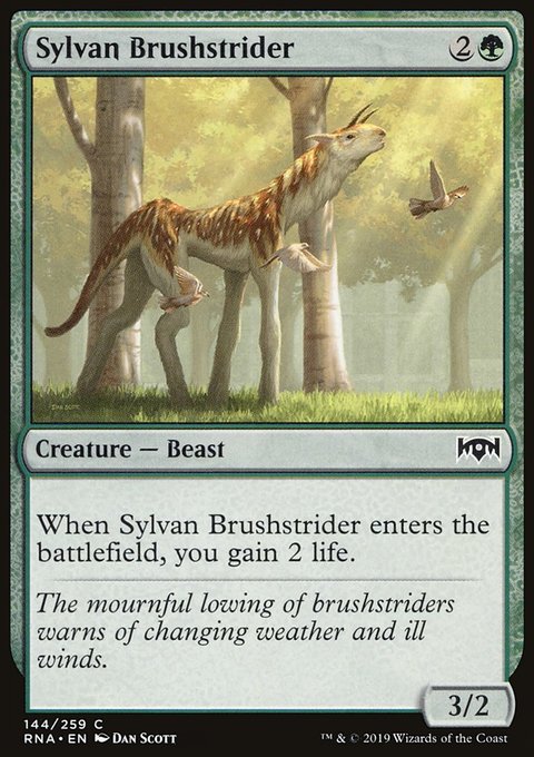 Sylvan Brushstrider