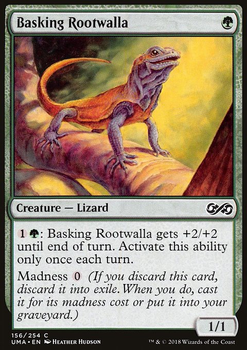 Basking Rootwalla