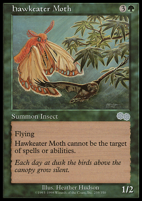 Hawkeater Moth