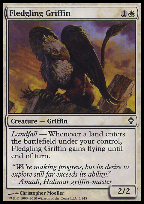 Fledgling Griffin